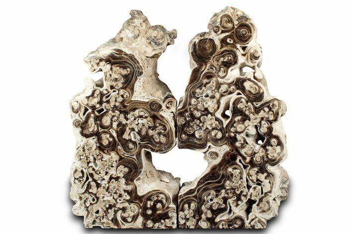 Swirling Polished Chocolate Calcite Bookends - Pakistan #334971